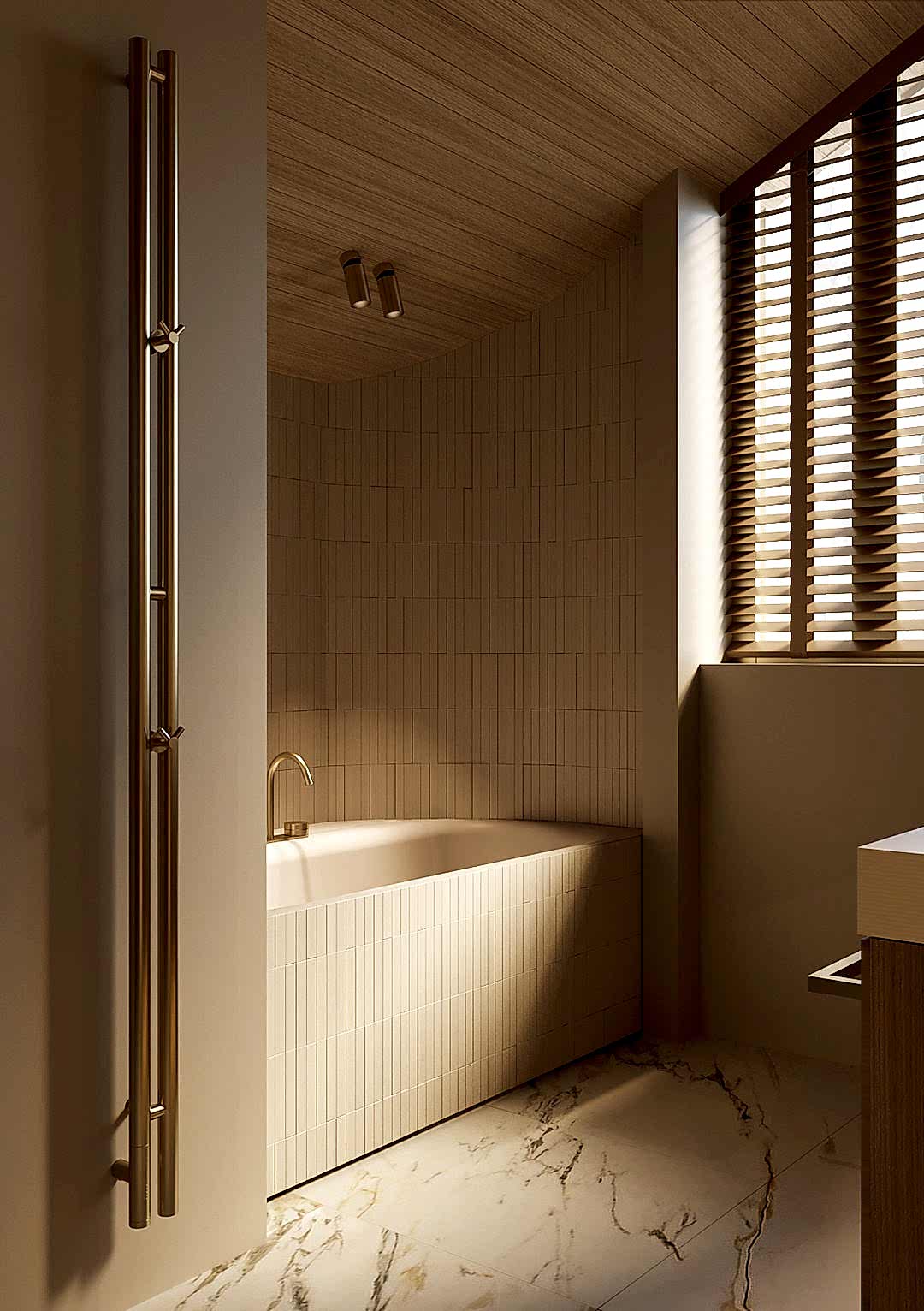 Дизайн проект: Дизайнер и его интерьеры